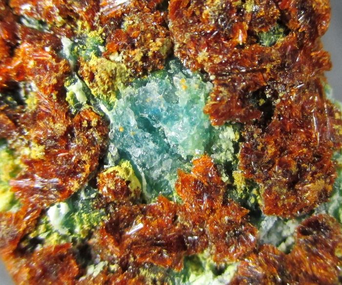 Amarantite Chalcanthite & Copiapite