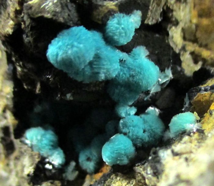 Aurichalcite