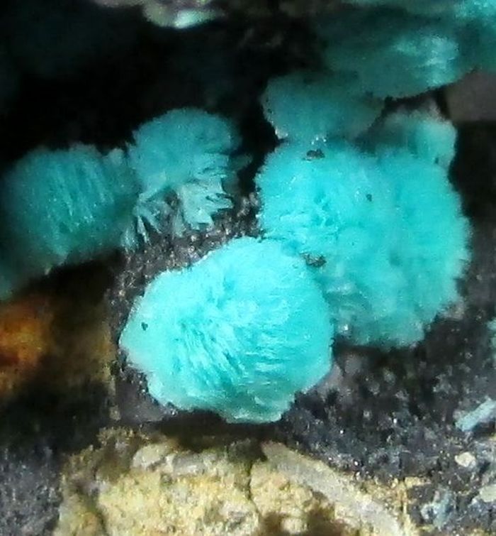 Aurichalcite