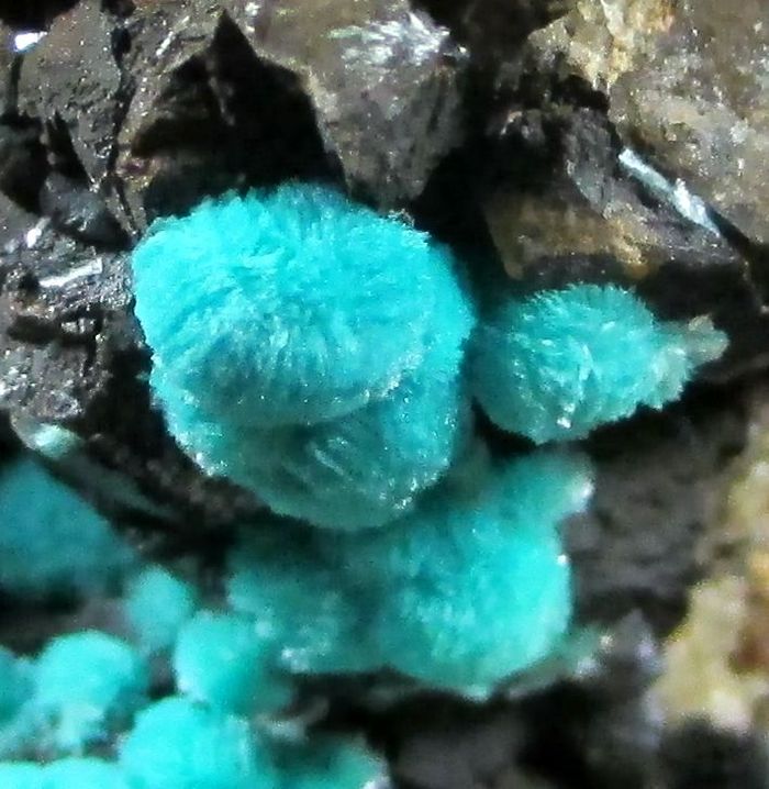 Aurichalcite