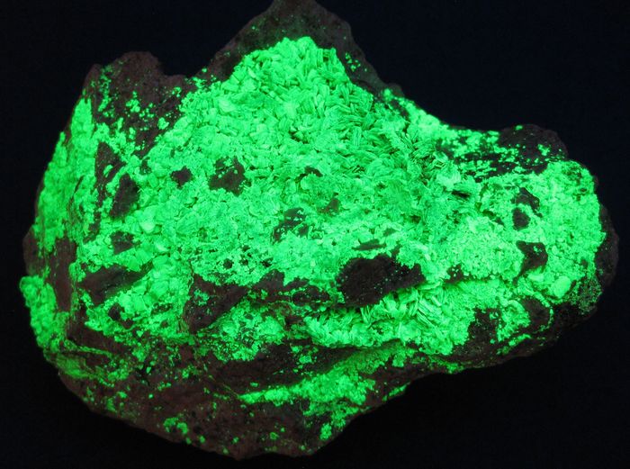 Autunite