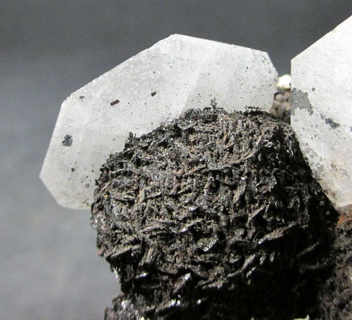 Baryte & Siderite