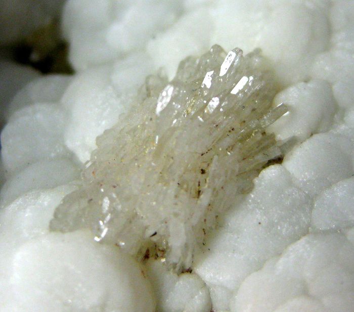 Baryte & Siderite On Aragonite