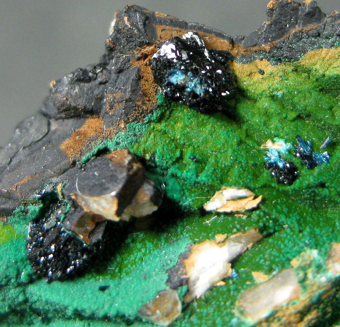 Clinoclase With Cornwallite & Malachite