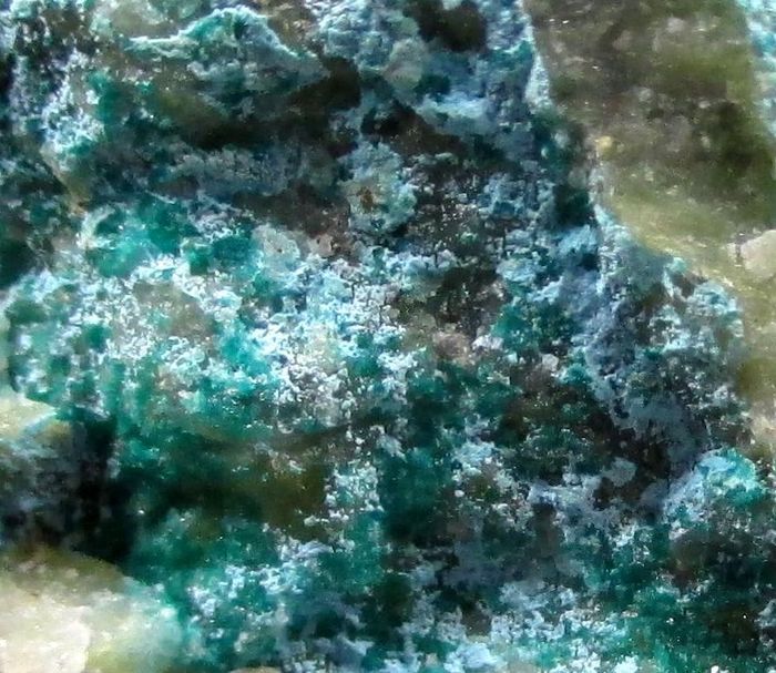 Greenockite Spangolite & Connellite