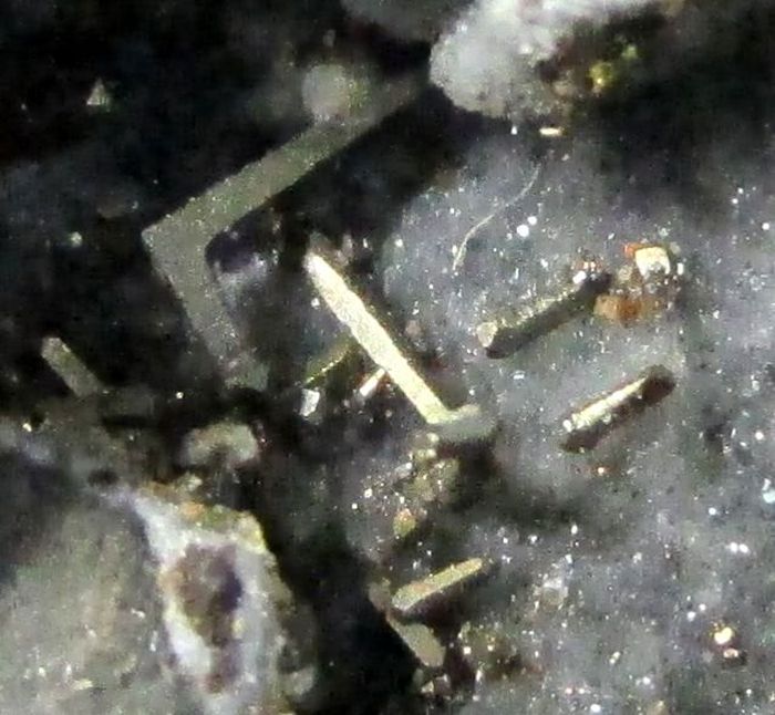 Pyrite Var