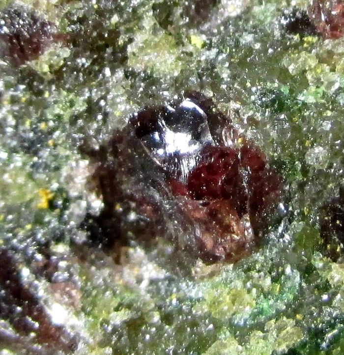 Pyrope Forsterite & Omphacite