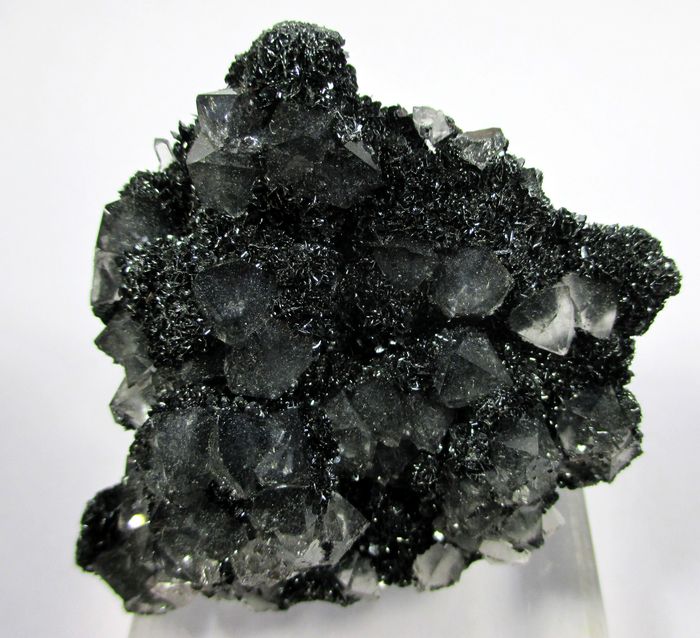 Quartz & Hematite Var Specularite