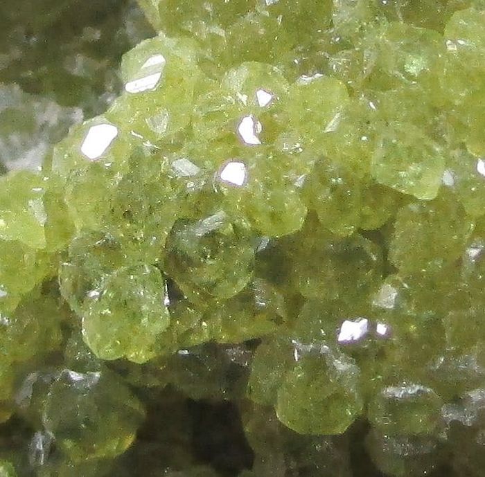 Topazolite On Serpentine & Antigorite