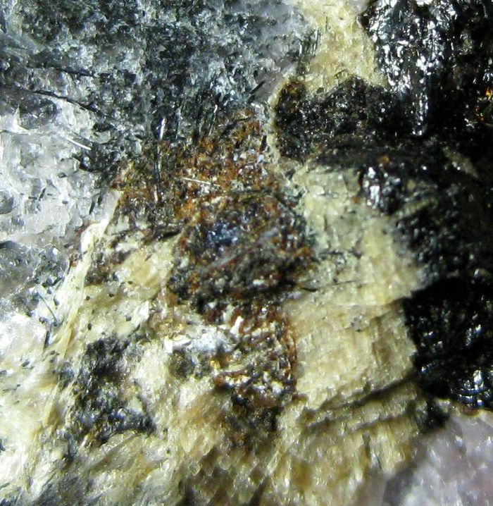 Steenstrupine-(Ce) & Vuonnemite In Ussingite