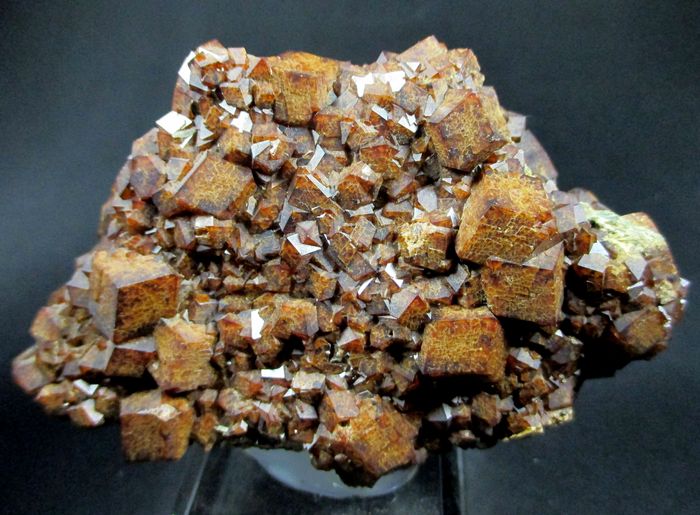 Andradite & Hedenbergite