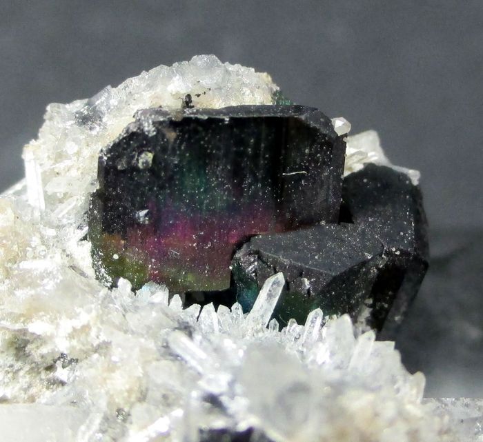 Bornite Psm Chalcocite On Quartz