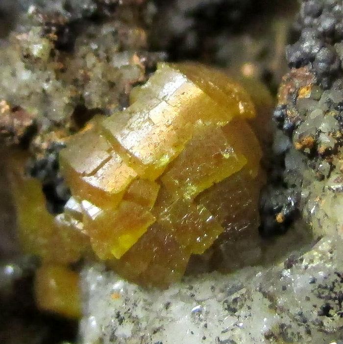 Campylite