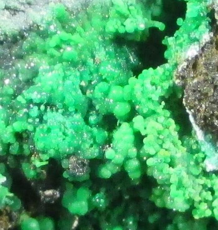 Conichalcite Malachite & Azurite