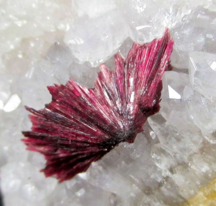 Erythrite