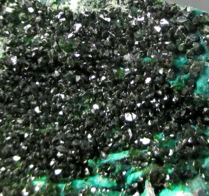 Libethenite & Pseudomalachite