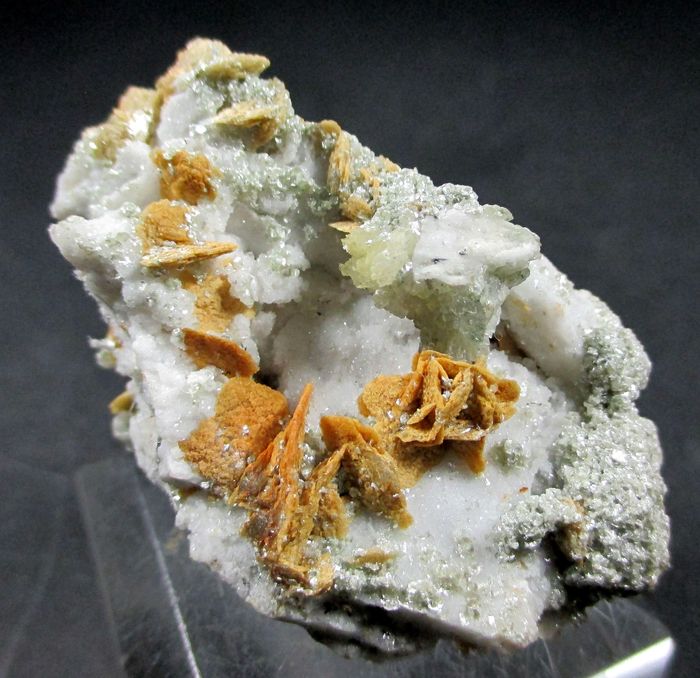 Siderite Var Pistomesite & Fluorapatite