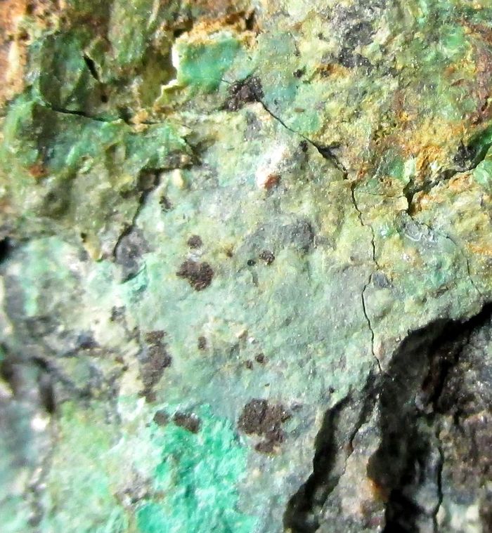 Namibite On Chrysocolla