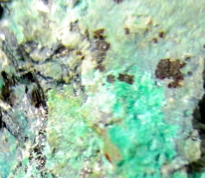 Namibite On Chrysocolla