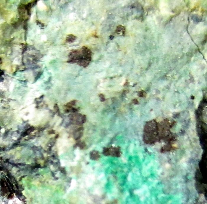 Namibite On Chrysocolla