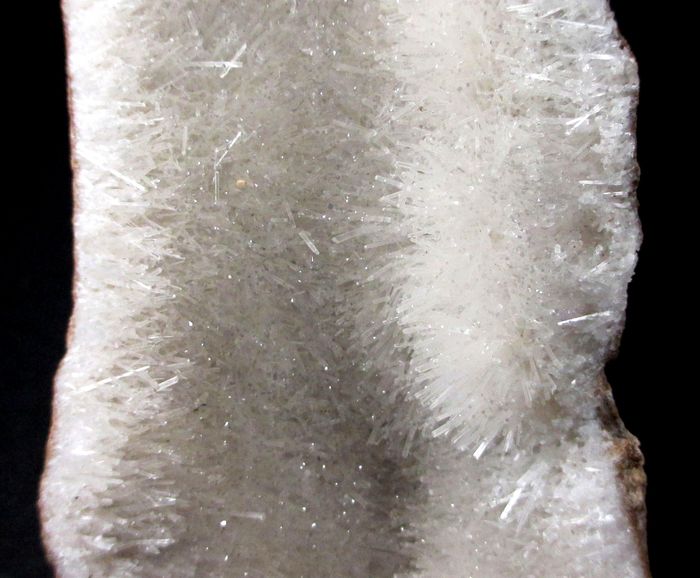 Natrolite Psm Fossil Wood