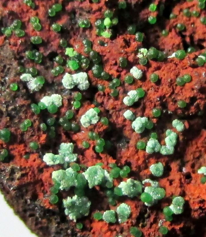 Olivenite Austinite Conichalcite Azurite & Chalcophanite