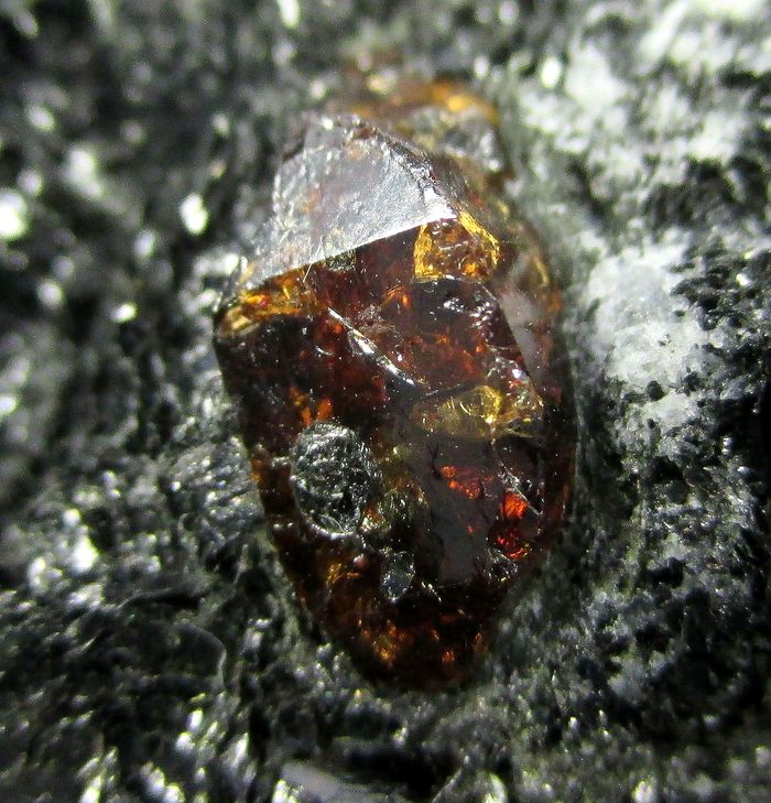 Zircon On Biotite