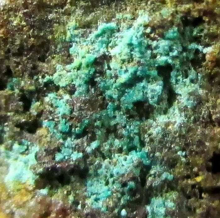 Lanthanite Törnebohmite & Brochantite