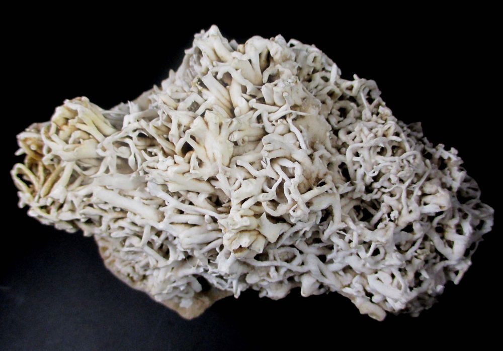 Aragonite Var Flos Ferri