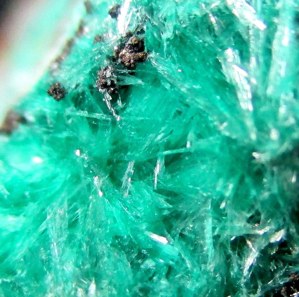 Aurichalcite