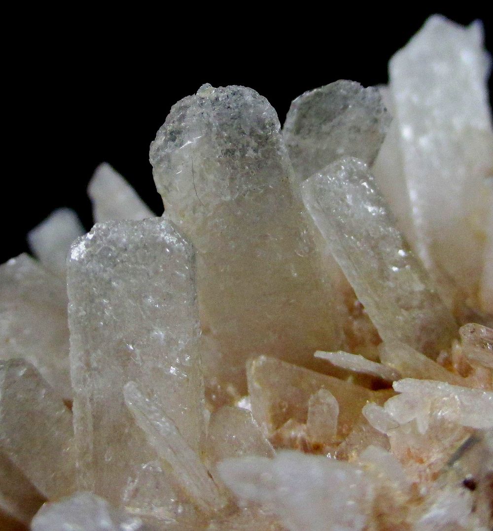 Leonite On Halite