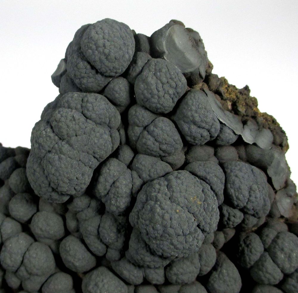 Manganese Oxides Psm Fossil Stromatolites
