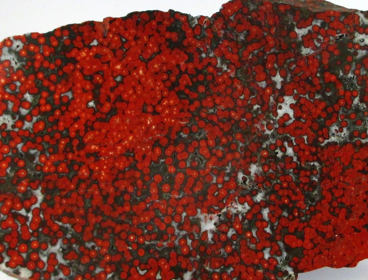 Jasper Psm Fossil Stromatolite
