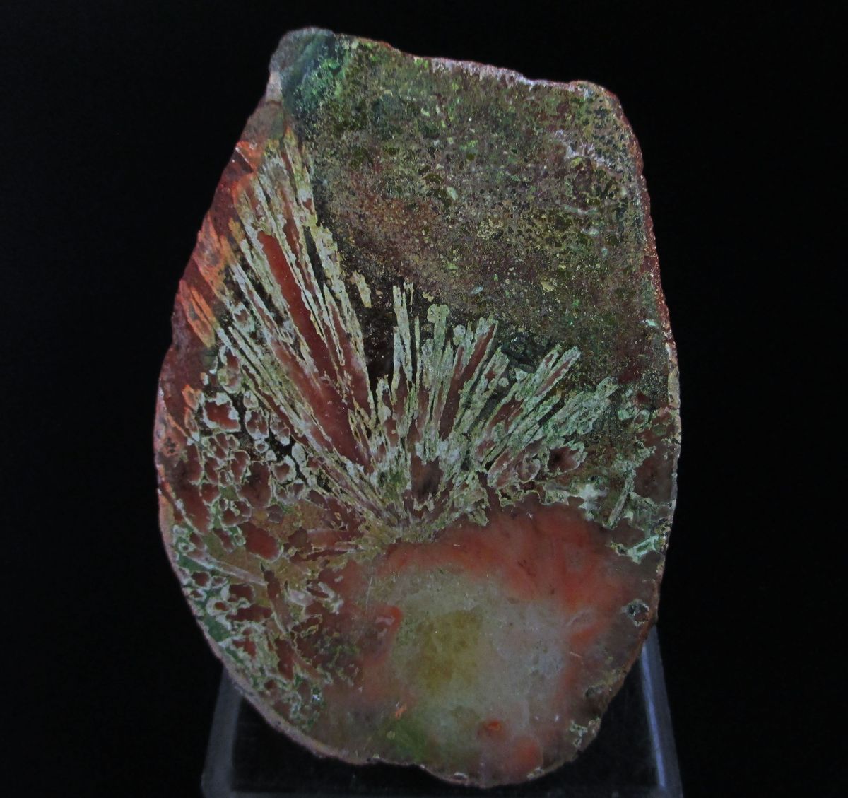 Agate Psm Scolecite