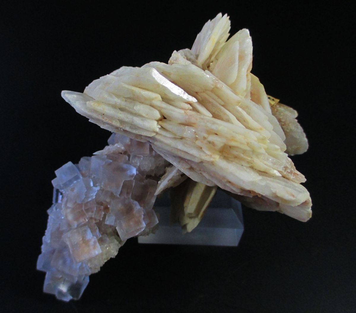 Fluorite & Baryte