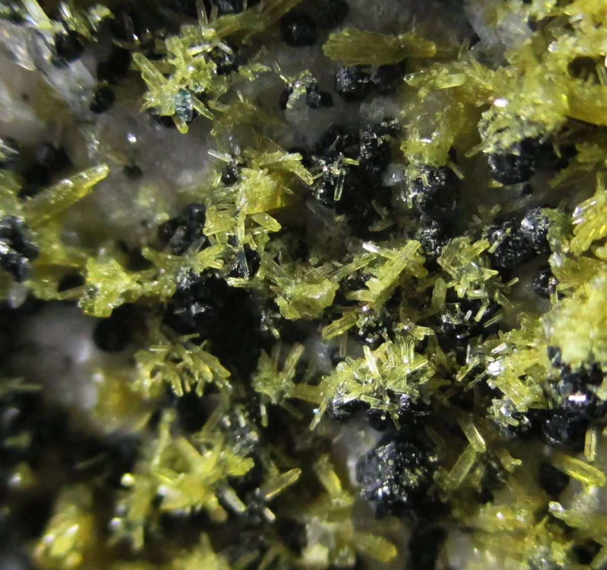 Clinozoisite Clinochlore & Quartz