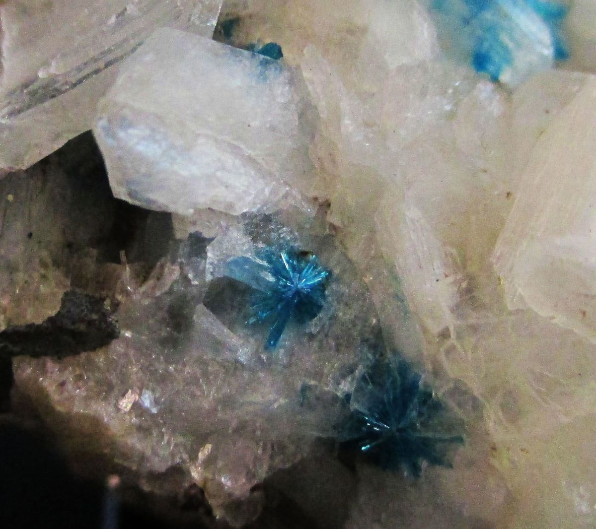 Cavansite Stilbite & Heulandite