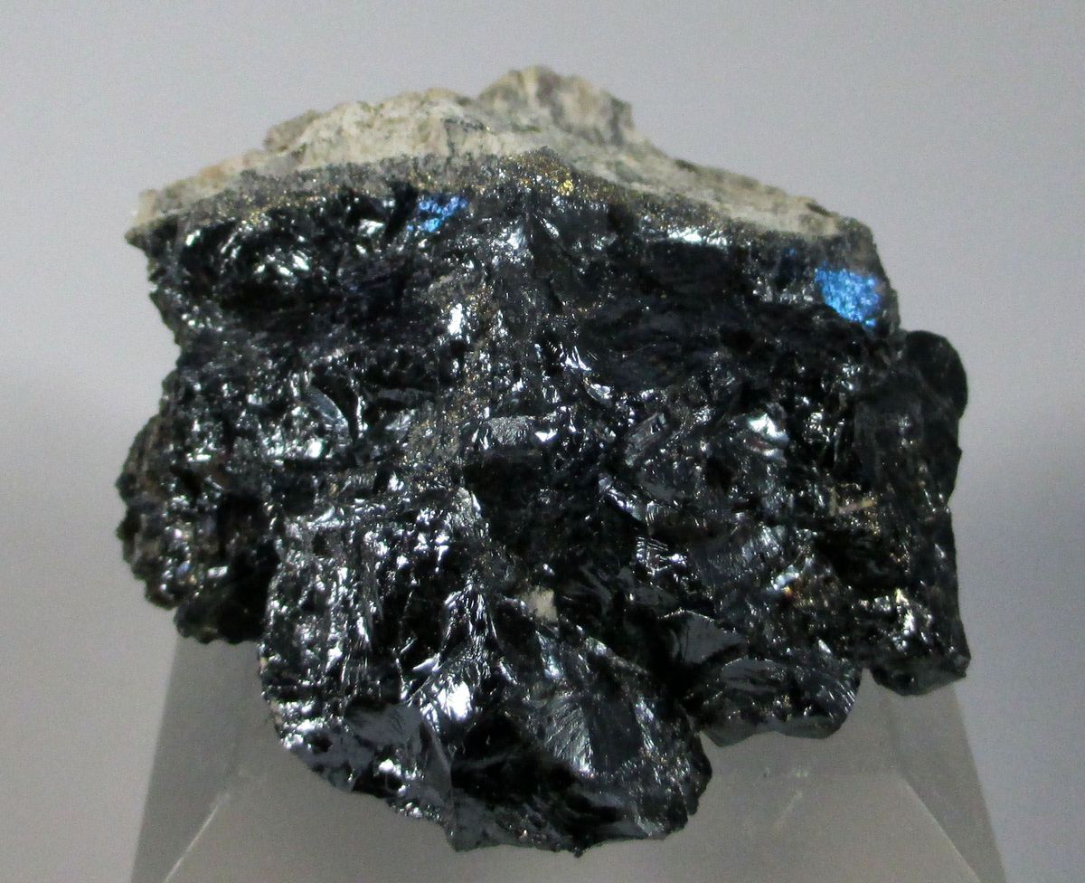 Digenite & Covellite