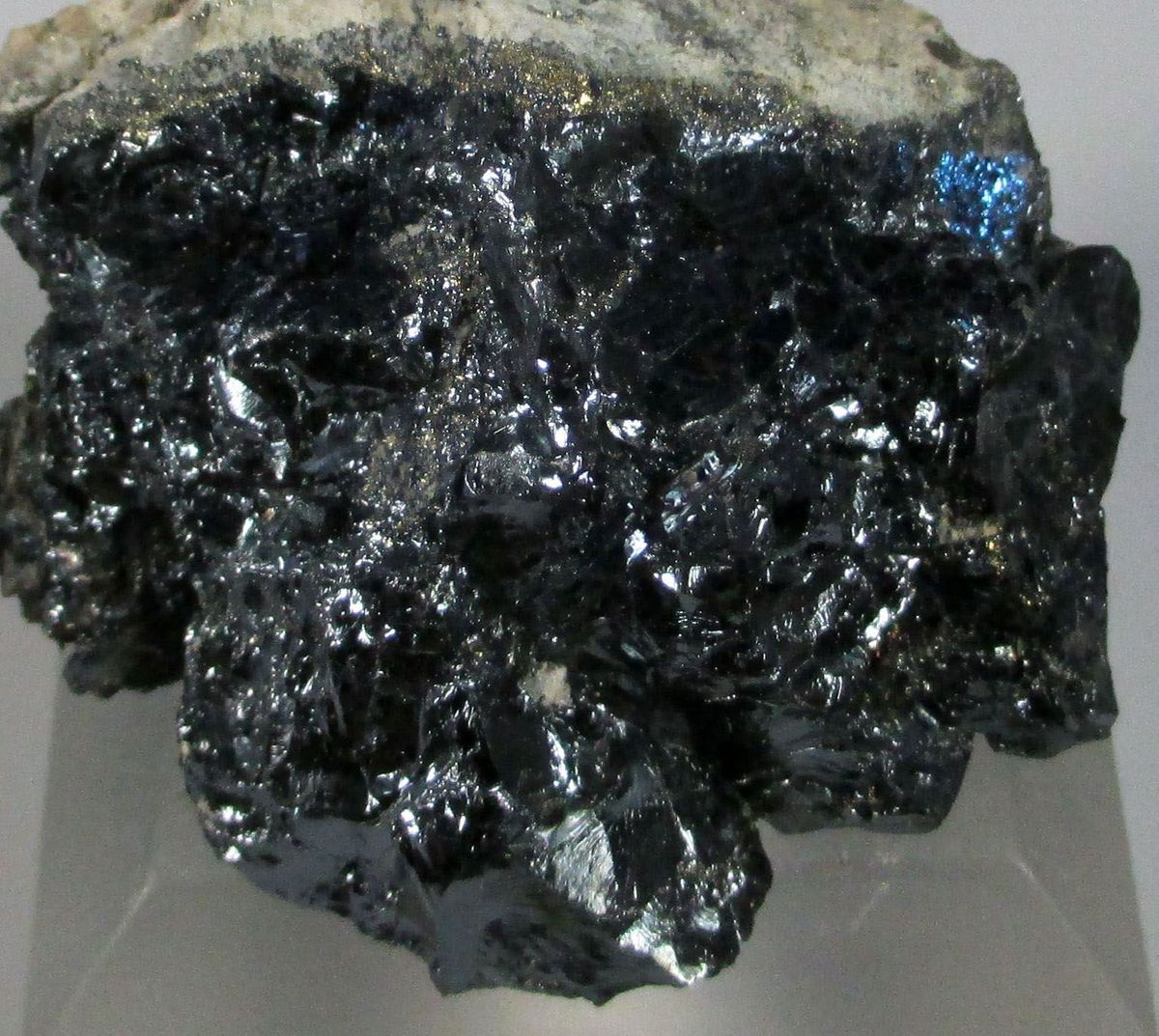 Digenite & Covellite