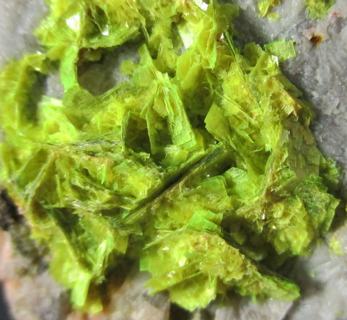 Autunite