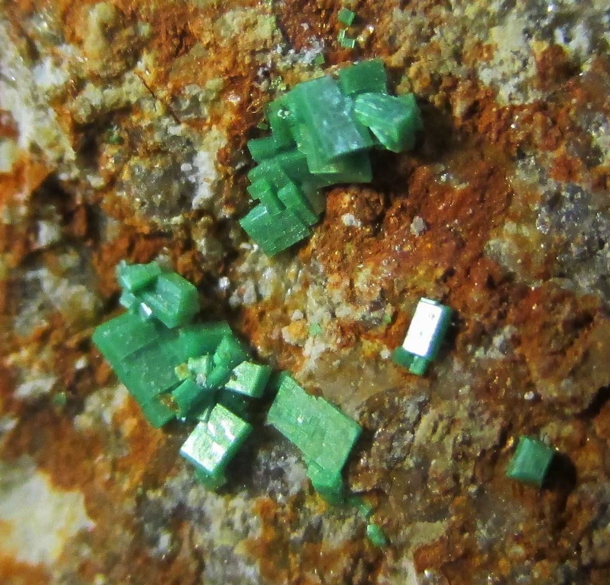 Torbernite