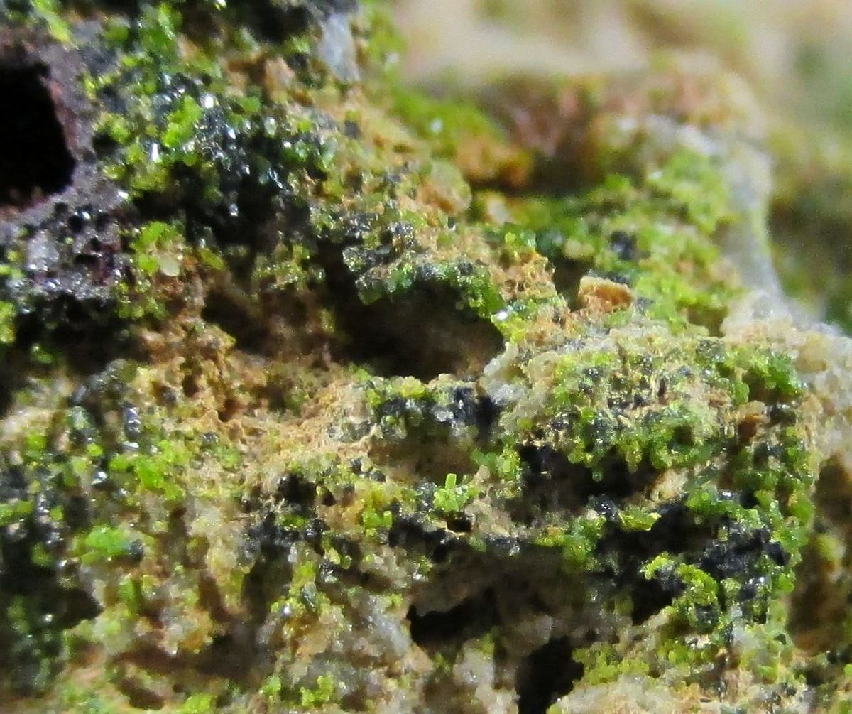 Vauquelinite Pyromorphite & Galena Psm