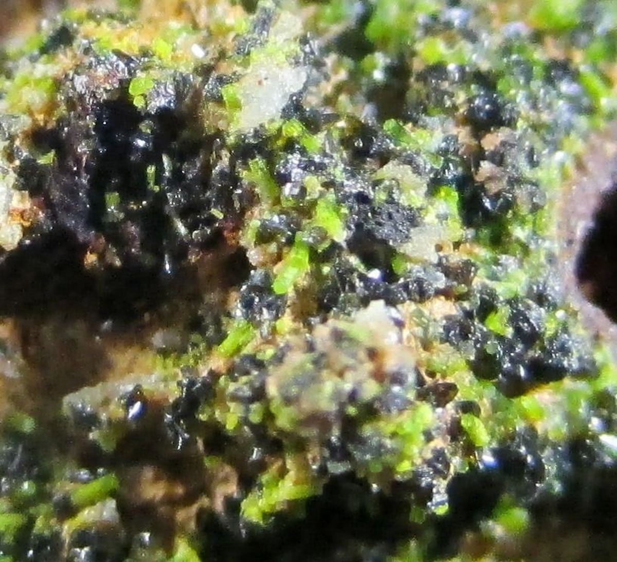 Vauquelinite Pyromorphite & Galena Psm