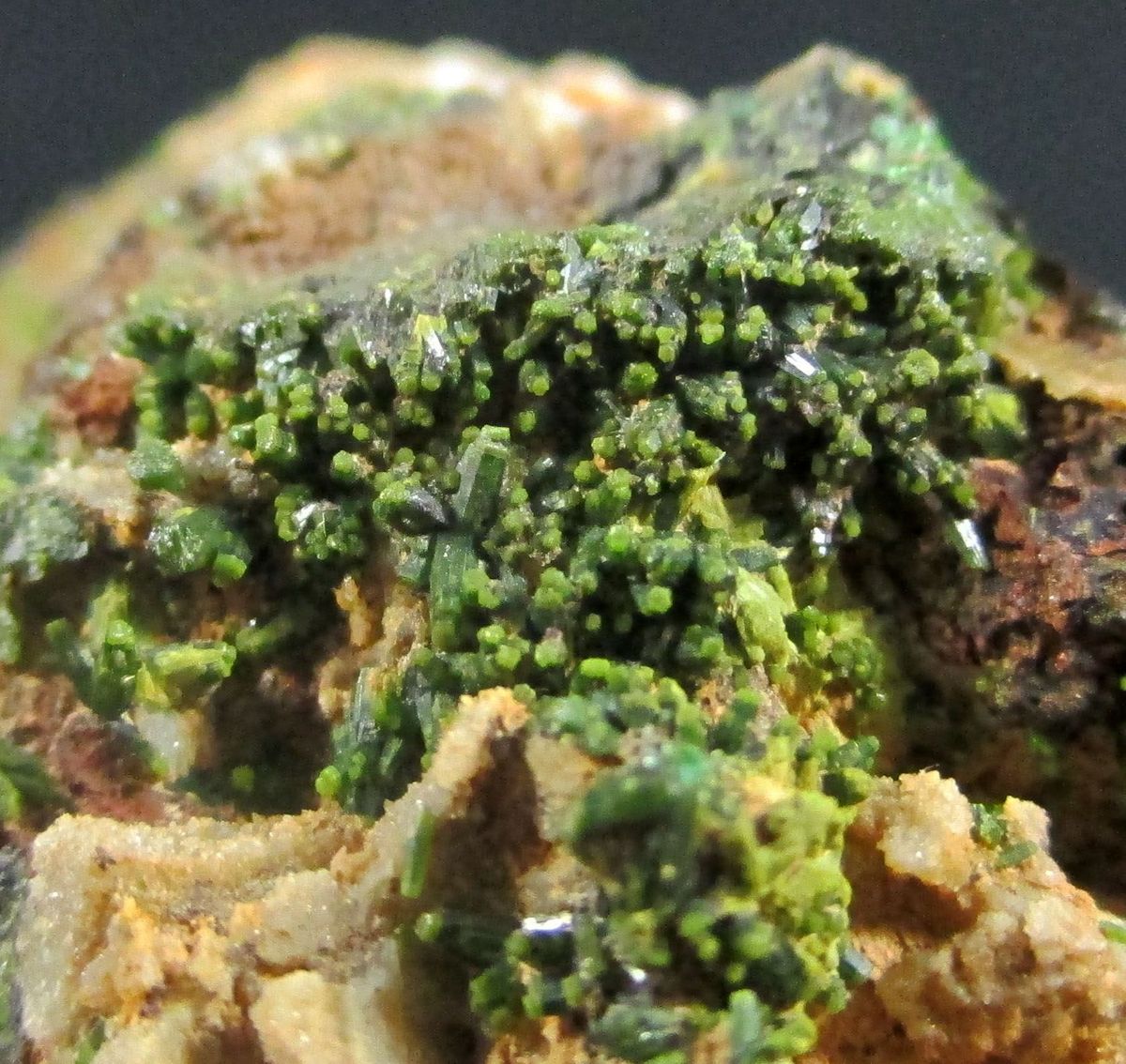 Vauquelinite Pyromorphite & Galena Psm