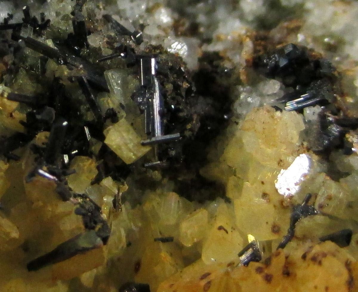 Aeschynite-(Y) Monazite-(Ce) Loveringite Thorite & Xenotime-(Y)
