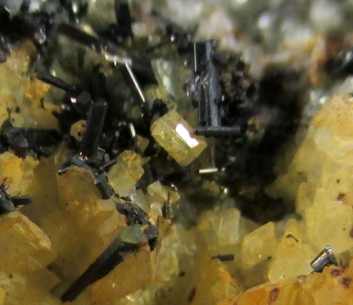 Aeschynite-(Y) Monazite-(Ce) Loveringite Thorite & Xenotime-(Y)