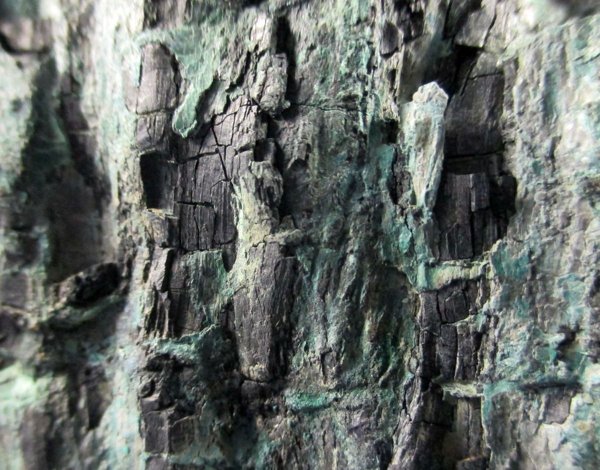 Chalcocite Psm Fossil Wood & Malachite