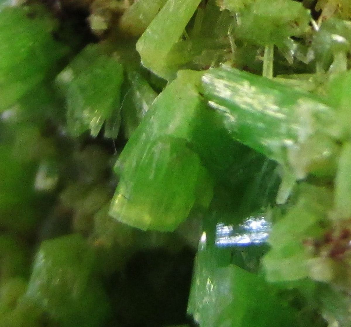 Pyromorphite