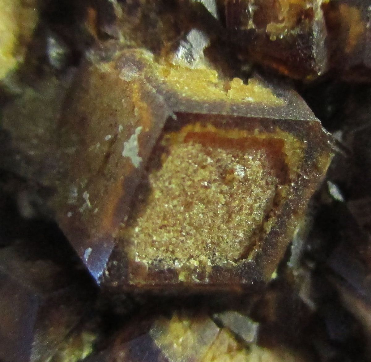 Andradite On Hedenbergite