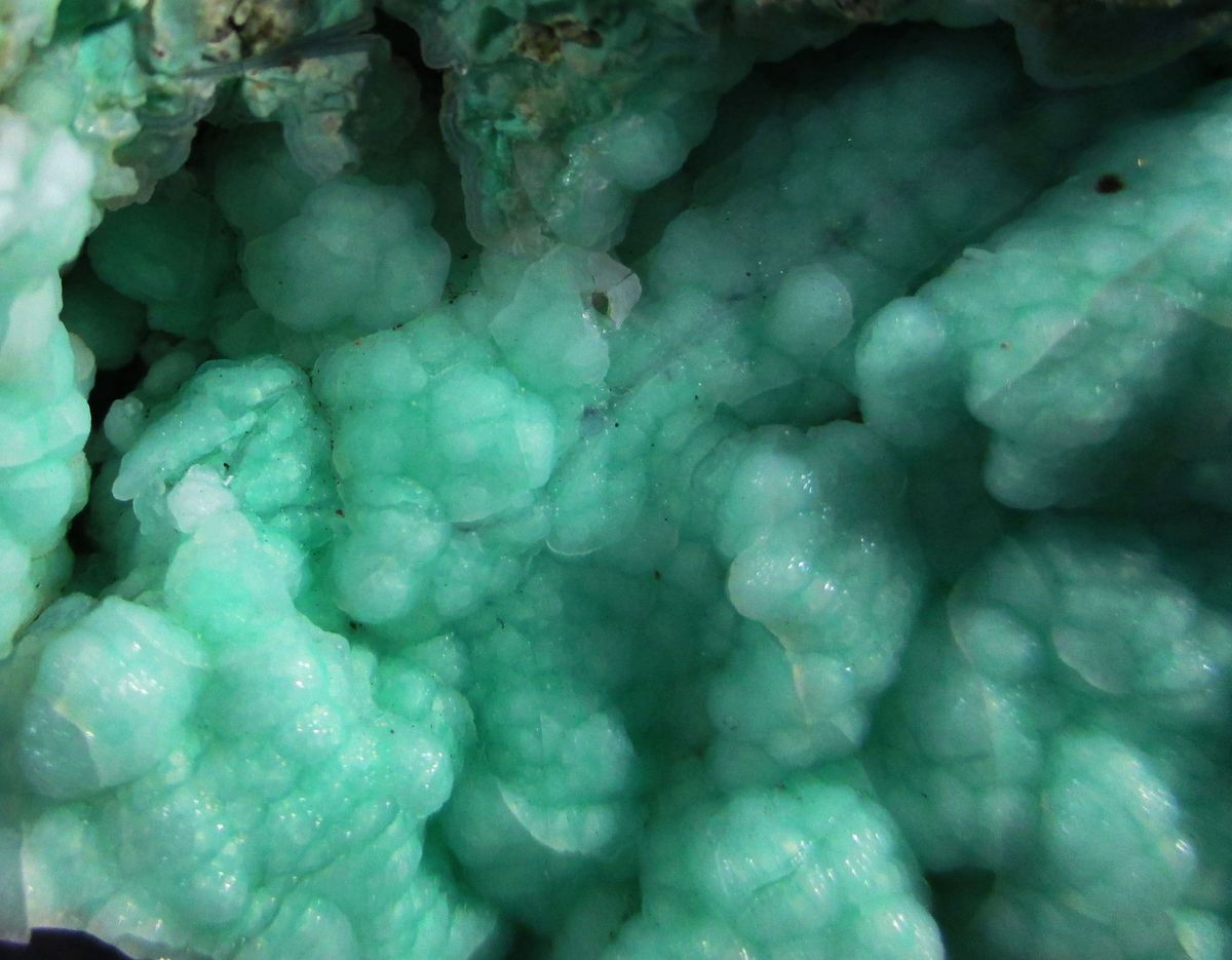 Opal Var Chrysopal
